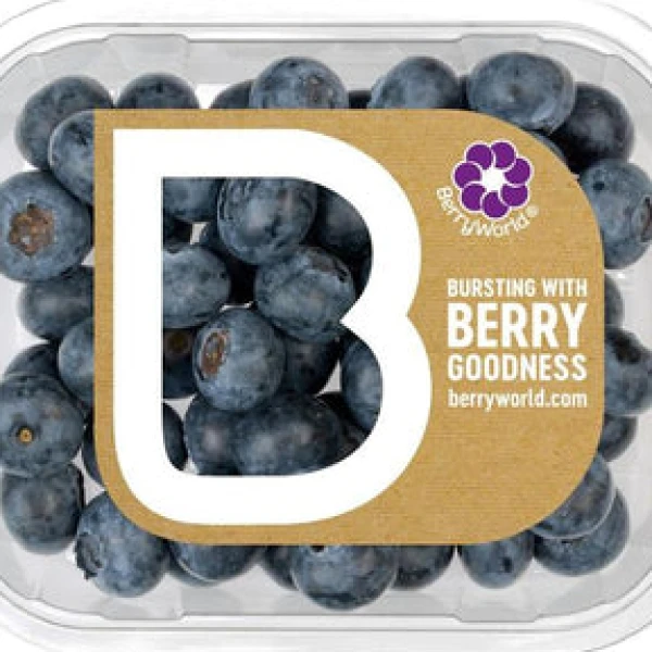 Ocado Fresh Little Gem Lettuce – Twin Pack