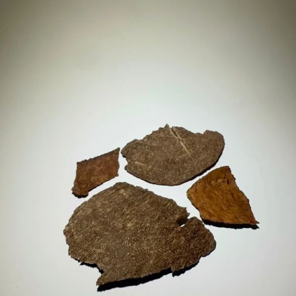 (تولة -12جم) عود القاف الهندي الأسامي IQAD91 سوبر مرتفع