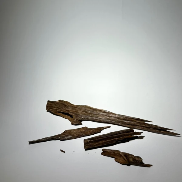 (تولة - 12 جم) الجورا الهندي للمناسبات IGAD91 سوبر مرتفع